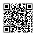 To view this 2015 Honda Fit Cedar City UT from 4 Seasons Auto Sales, please scan this QR code with your smartphone or tablet to view the mobile version of this page.